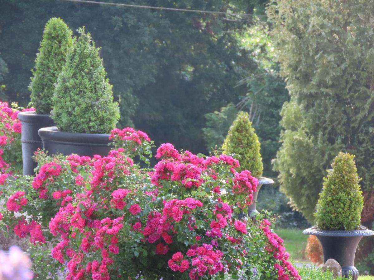 Noan Country House B&B Cashel  Luaran gambar