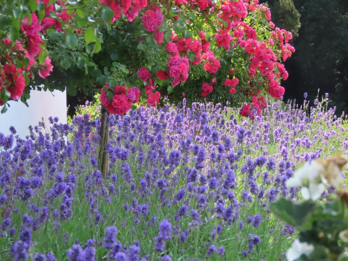 Noan Country House B&B Cashel  Luaran gambar